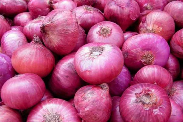 Onion prices