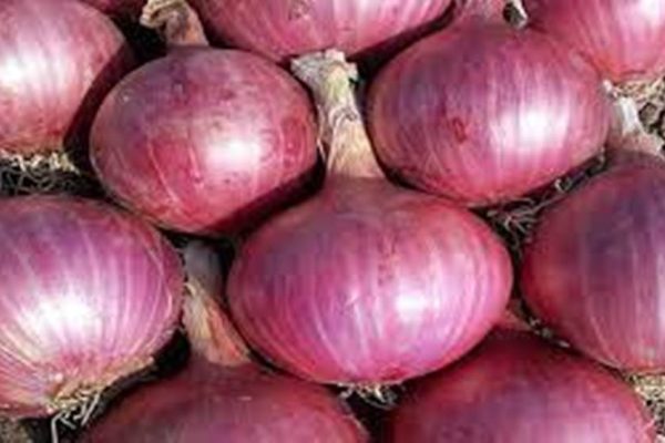 Onion prices