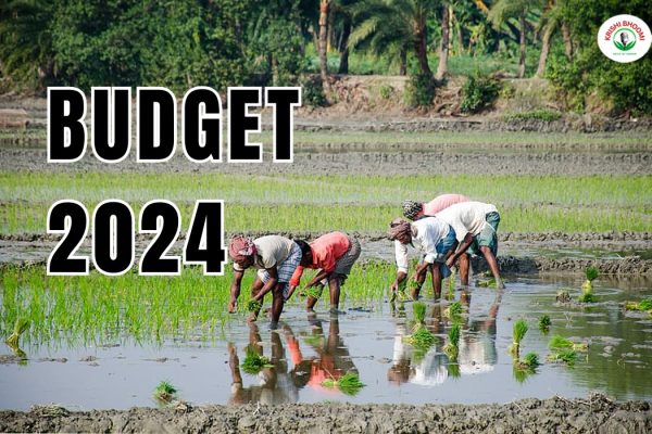 budget-2024