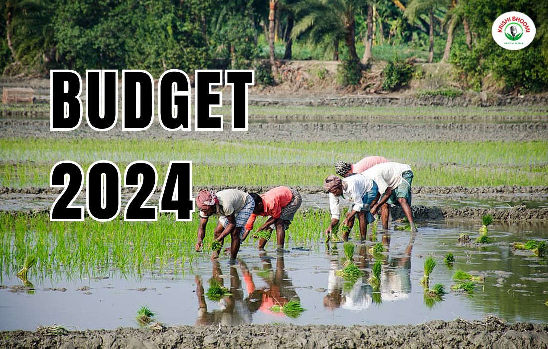 budget-2024