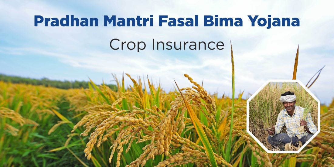 crop insurance