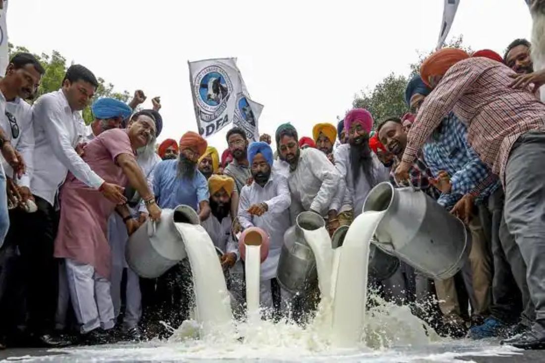 Milk crisis in Delhi